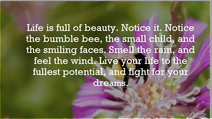 Life is full of beauty. Notice it. Notice the bumble bee, the small child, and the smiling faces. Smell the rain, and feel the wind. Live your life to the fullest potential, and fight for your dreams. Ashley Smith