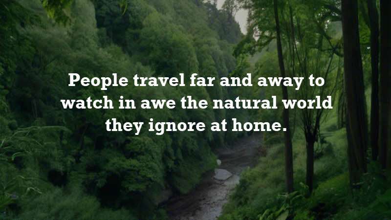 People travel far and away to watch in awe the natural world they ignore at home. Mind Map Journal