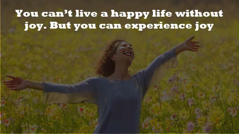 You can’t live a happy life without joy. But you can experience joy without being happy. Danielle LaPorte
