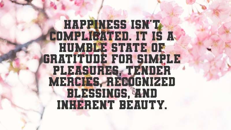 Happiness isn't complicated. It is a humble state of gratitude for simple pleasures, tender mercies, recognized blessings, and inherent beauty. Richelle E. Goodrich