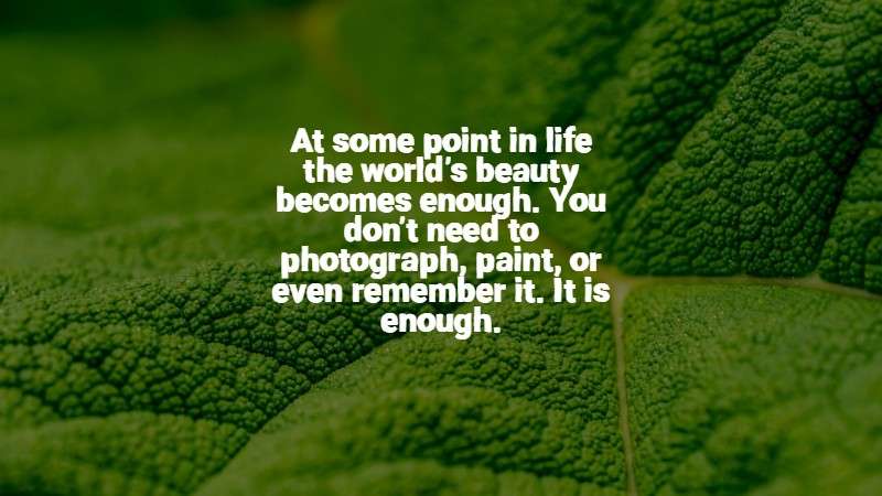 At some point in life the world's beauty becomes enough.