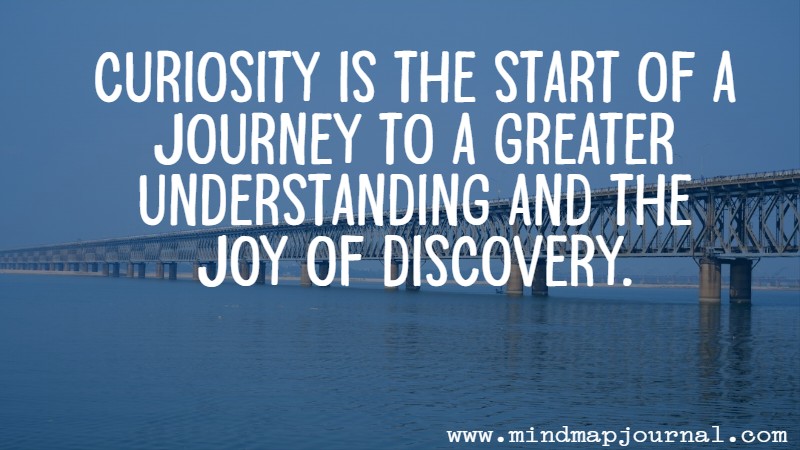 Curiosity is the start of a journey to a greater understanding and the joy of discovery by mmj