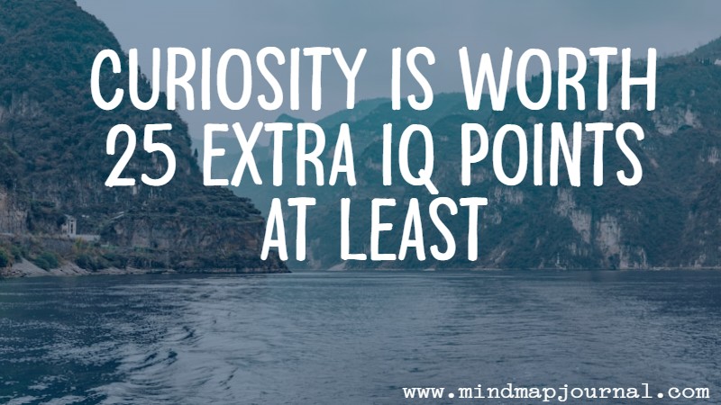 Curiosity is worth 25 extra IQ points at least by Kevin Kelly