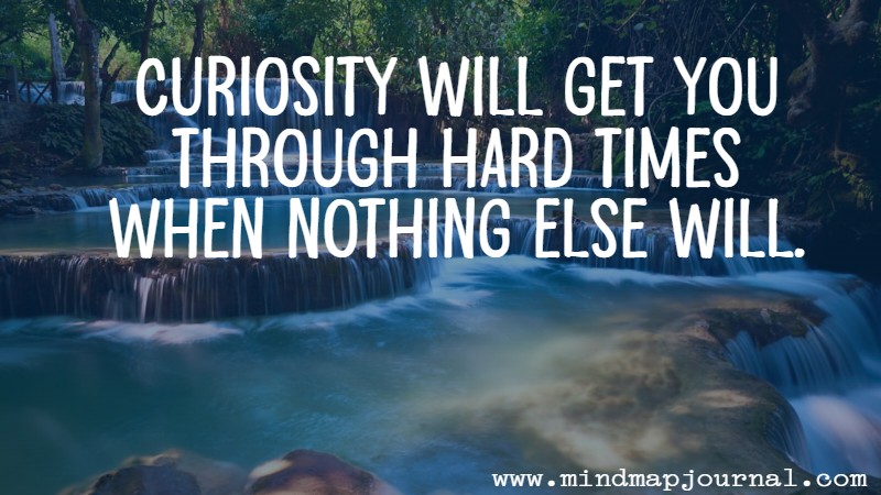 Curiosity will get you through hard times when nothing else will by Jim Harrison by Jim Harrison
