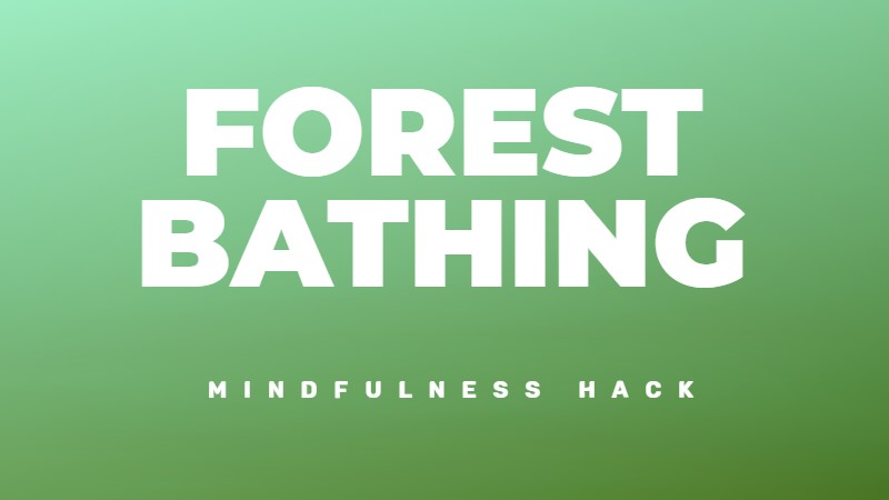 Shinrin-yoku - Forest bathing for well-being and less stress and anxiety