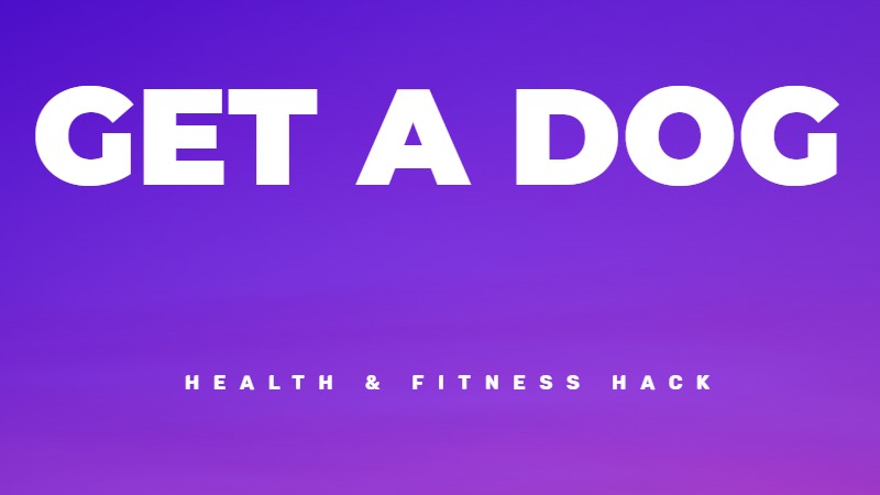 Get a dog for health, longevity and well-being