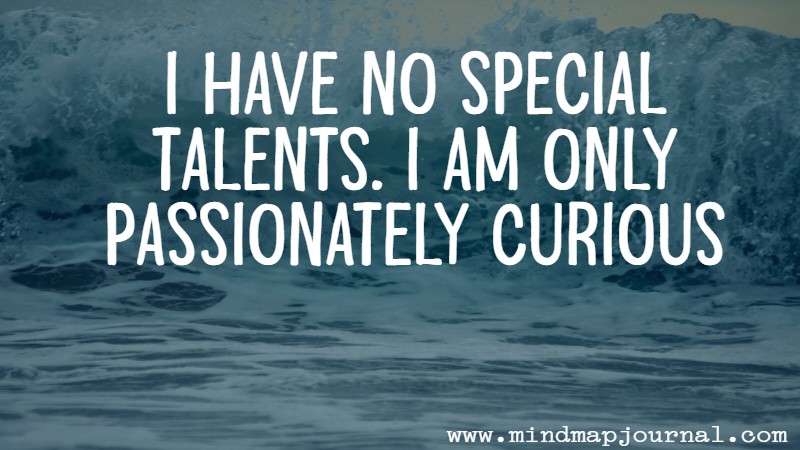 I have no special talents. I am only passionately curious by Albert Einstein