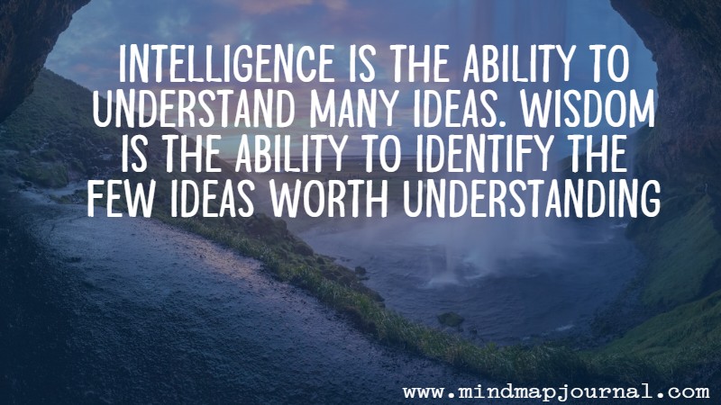 intelligence-is-the-ability-to-understand-mark-manson