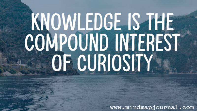 Knowledge is the compound interest of curiosity by james clear