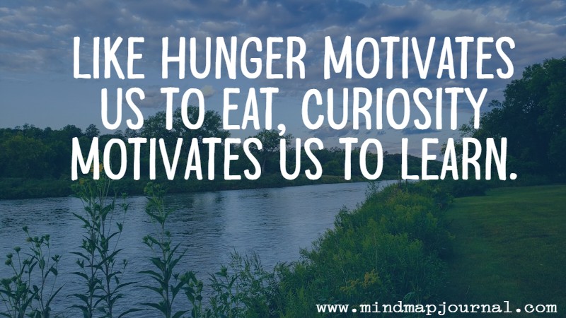Like hunger motivates us to eat, curiosity motivates us to learn by George Loewenstein