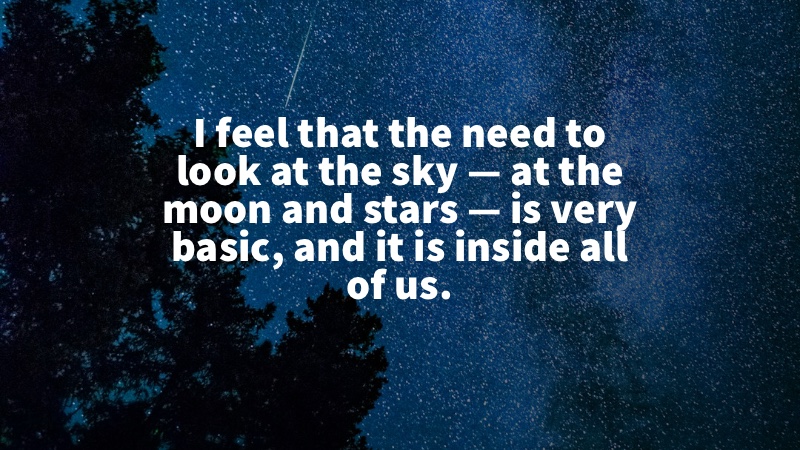 I feel that the need to look at the sky — at the moon and stars — is very basic, and it is inside all of us. Nancy Holt