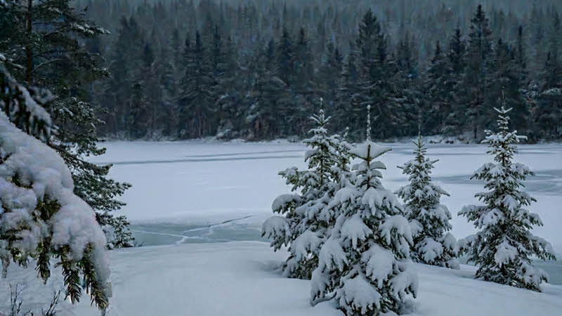 Stopping by Woods on a Snowy Evening poem by Robert Frost