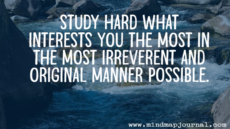 study_hard_what_interests_you_the_most_in_the_most_irreverent_and_original_manner_possible_by__richard_feynman