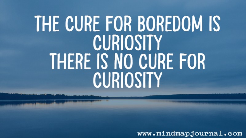 What if boredom isn’t something to escape, but a signal to get curious? One good question can change what happens next.