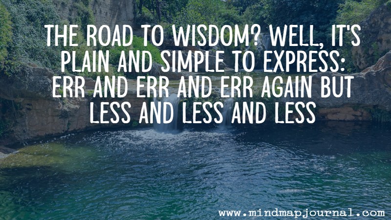 the_road_to_wisdom_well_its_piet_hein
