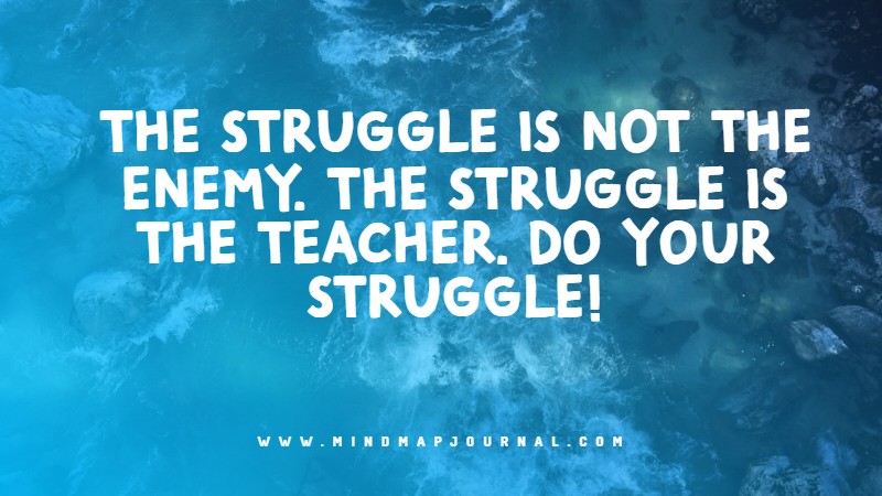 The struggle is not the enemy. The struggle is the teacher. Do your struggle!