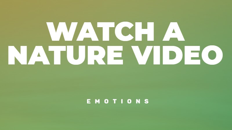Watch a nature and forest video to reduce your stress