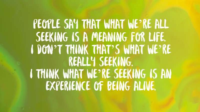 What we are seeking is an experience of being alive