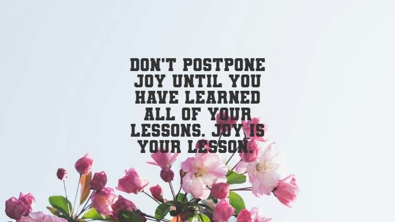 Don’t postpone joy until you have learned all of your lessons. Joy is your lesson. Alan Cohen