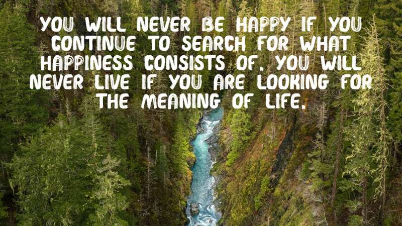 You will never be happy if you continue to search for what happiness consists of.